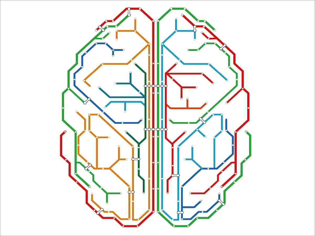 Brain surgery