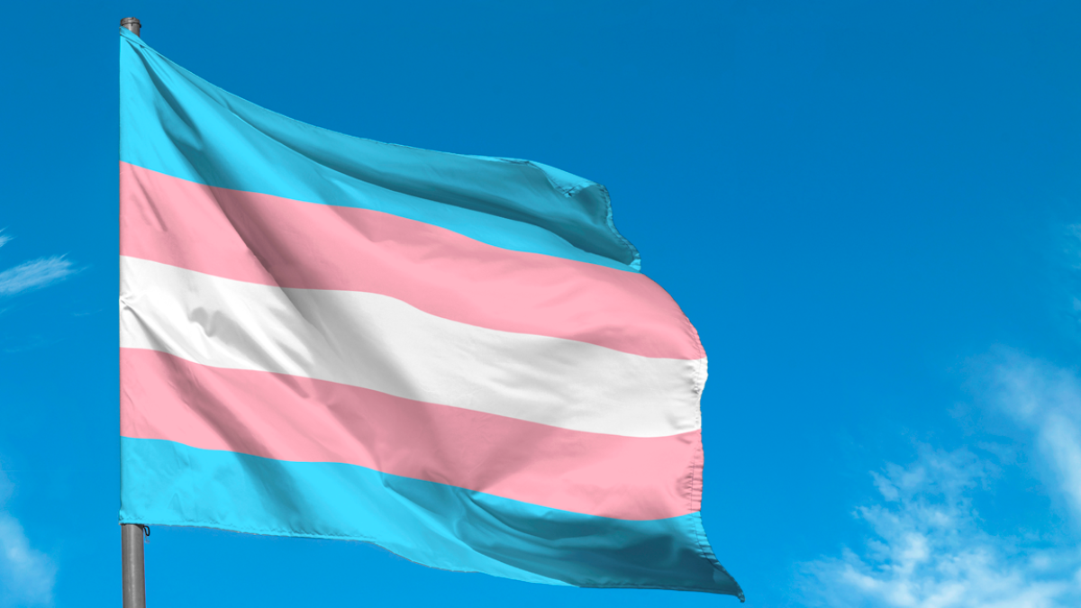 Trans flag waving in the wind - demonstrating solidarity
